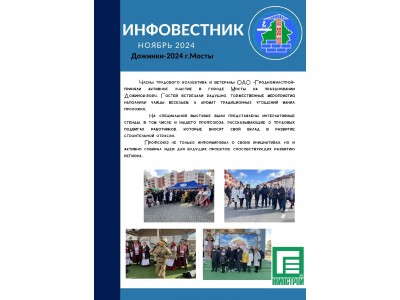 ИНФОВЕСТНИК № 2 ноябрь 2024