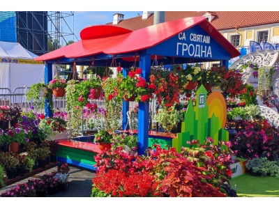 "Городские цветы"