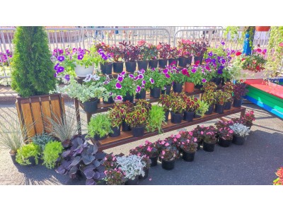 photo_2025-09-11_14-02-06 (2)