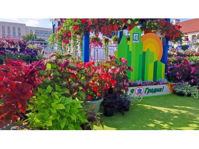 photo_2025-09-11_14-02-06