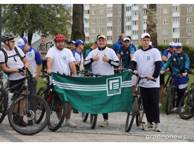 8ip1vjh7j1mcr0ii15htyturk7qnqwm8