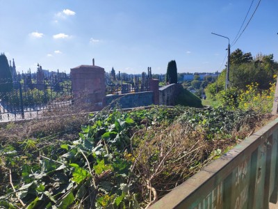 photo_2025-10-03_14-21-42