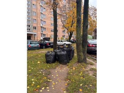 photo_2025-10-25_12-00-45