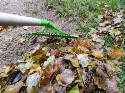 photo_2025-10-25_17-24-33