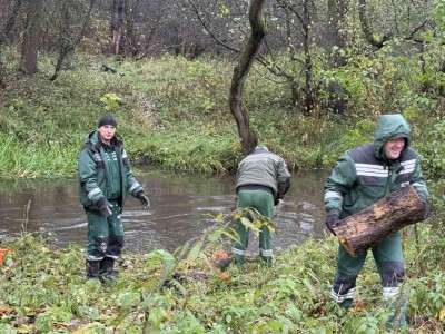 photo_2025-10-25_13-35-48