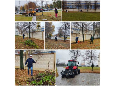 изображение_viber_2025-10-25_17-08-32-107