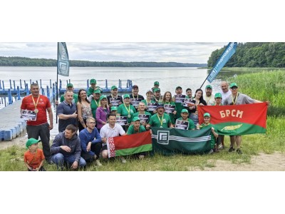 Ровинский Саша - вклад