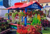 «Городские цветы» от Жилстроя для любимого Гродно