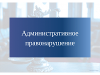 ПРОФИЛАКТИКА административных правонарушений в быту